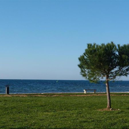 Lovely Fazana Apartments 400M From The Sea Fažana Exterior foto