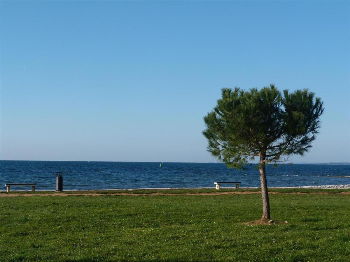 Lovely Fazana Apartments 400M From The Sea Fažana Exterior foto